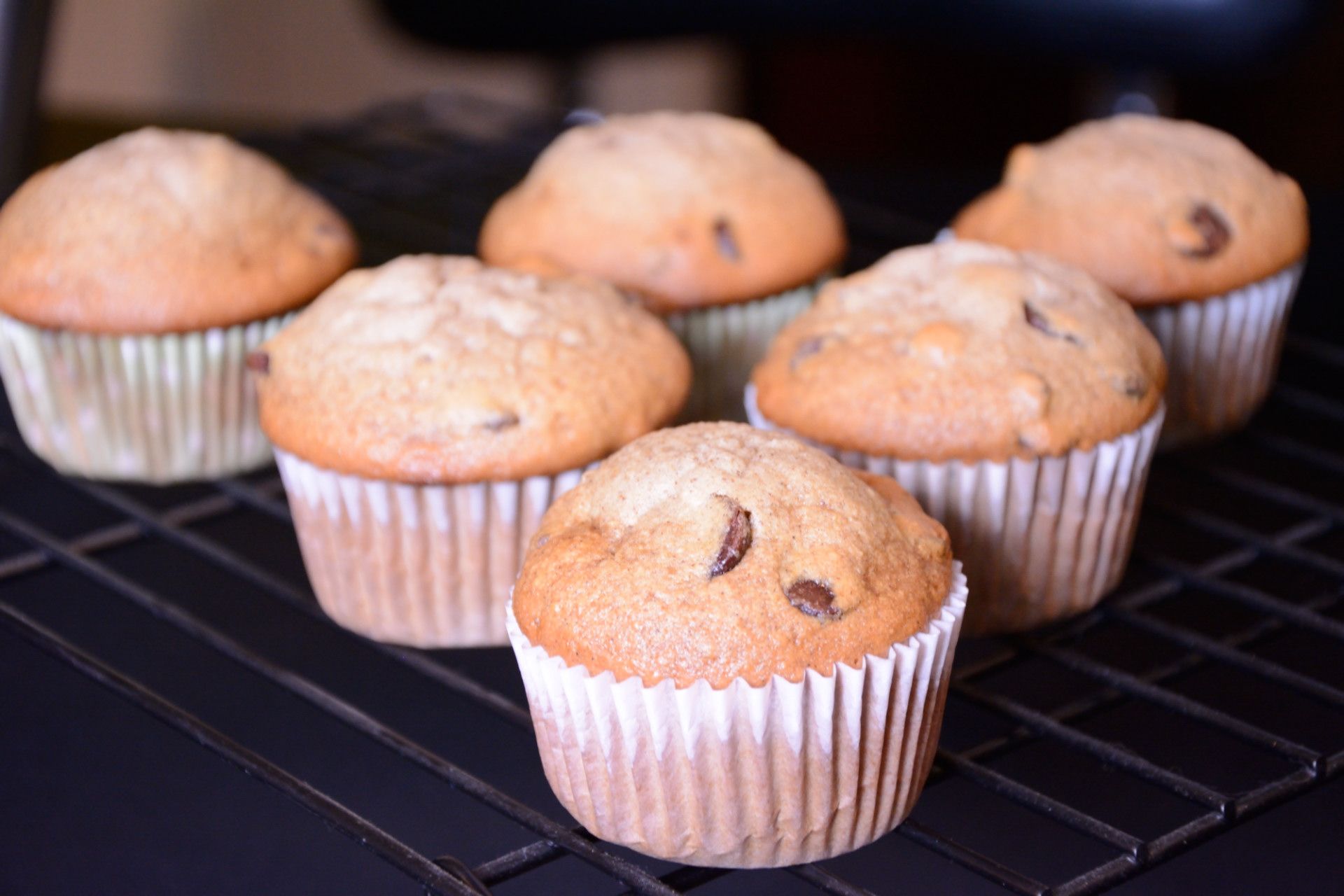 Sourdough Applesauce Muffins
